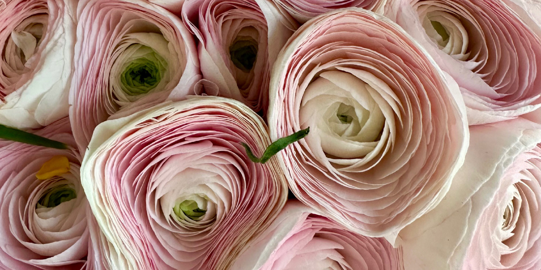 О гормонах и не только.