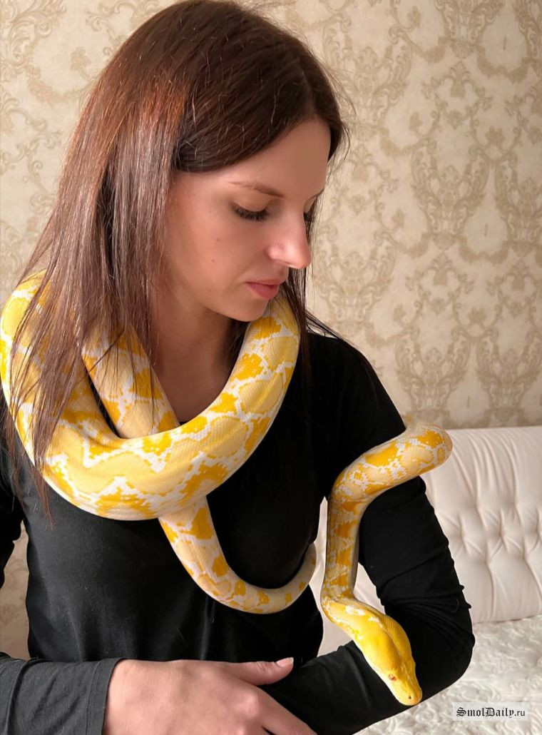 Такого удава в квартире держать можно!