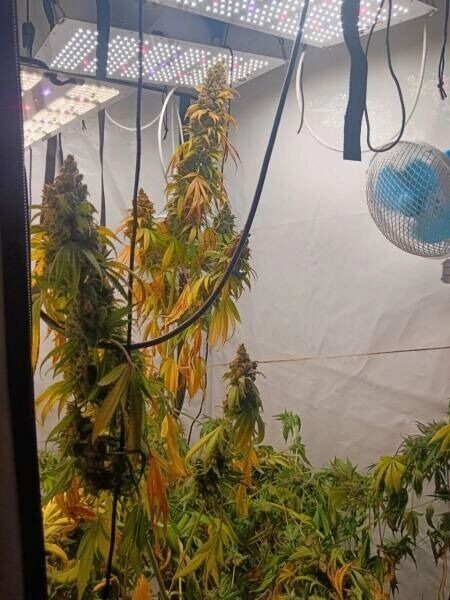     Источник: Пресс-служба УМВД