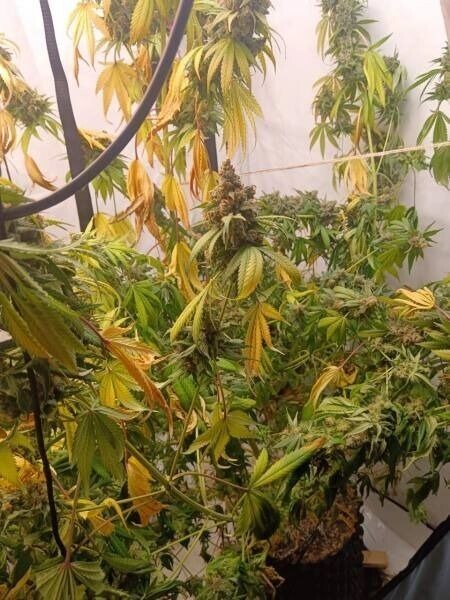     Источник: Пресс-служба УМВД