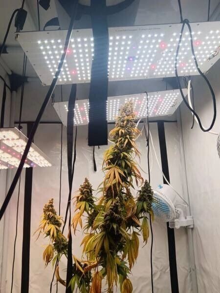     Источник: Пресс-служба УМВД