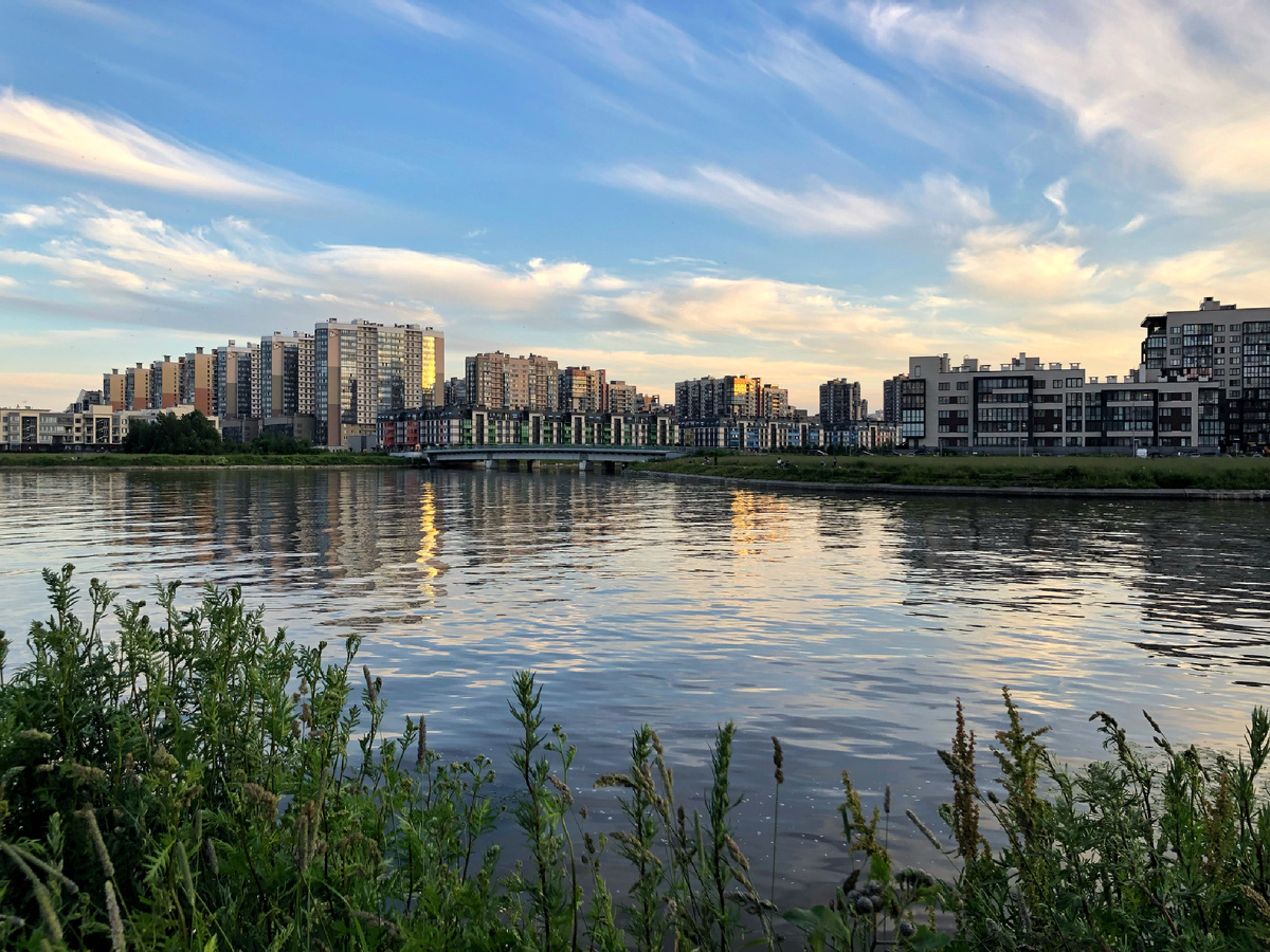 Когда ты живёшь в психологическом насилии, ты уже не понимаешь: где адекватная реальность, где иллюзии и миражи, и что является правдой..