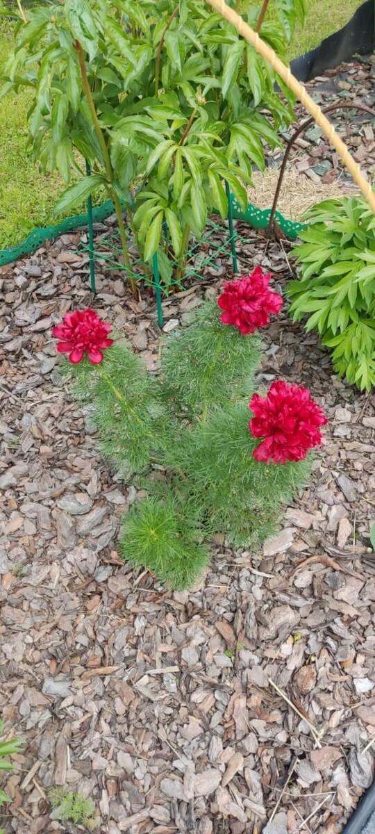 Еженедельный астропрогноз 7 – 13 июля 2025 года