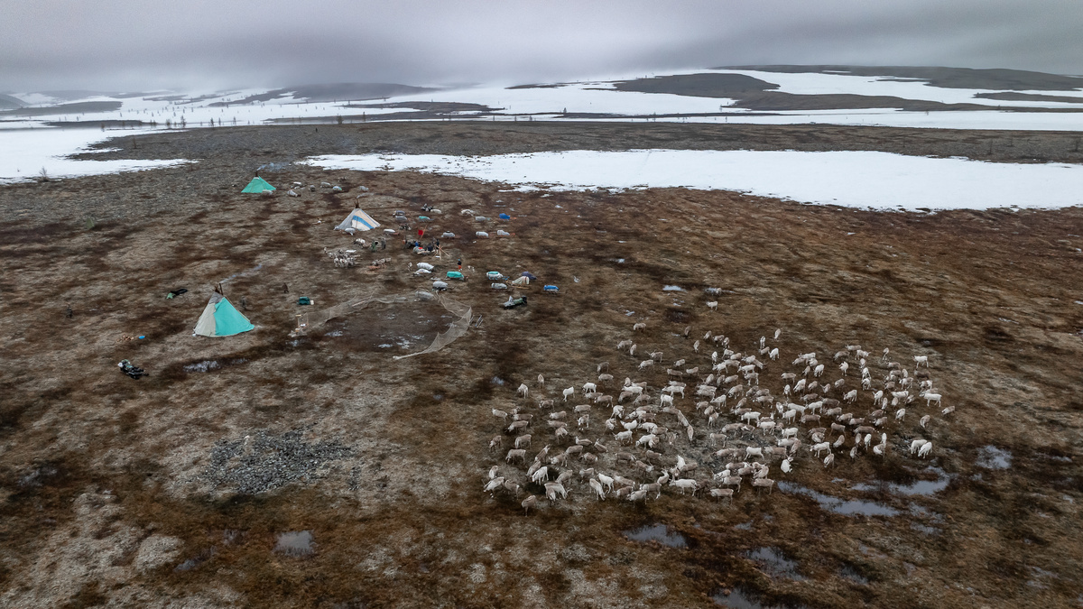 Стойбище оленеводов в Приполярном Урале, где я буду жить в следующие дни. Первое, что меня удивило - это снег в июне. 