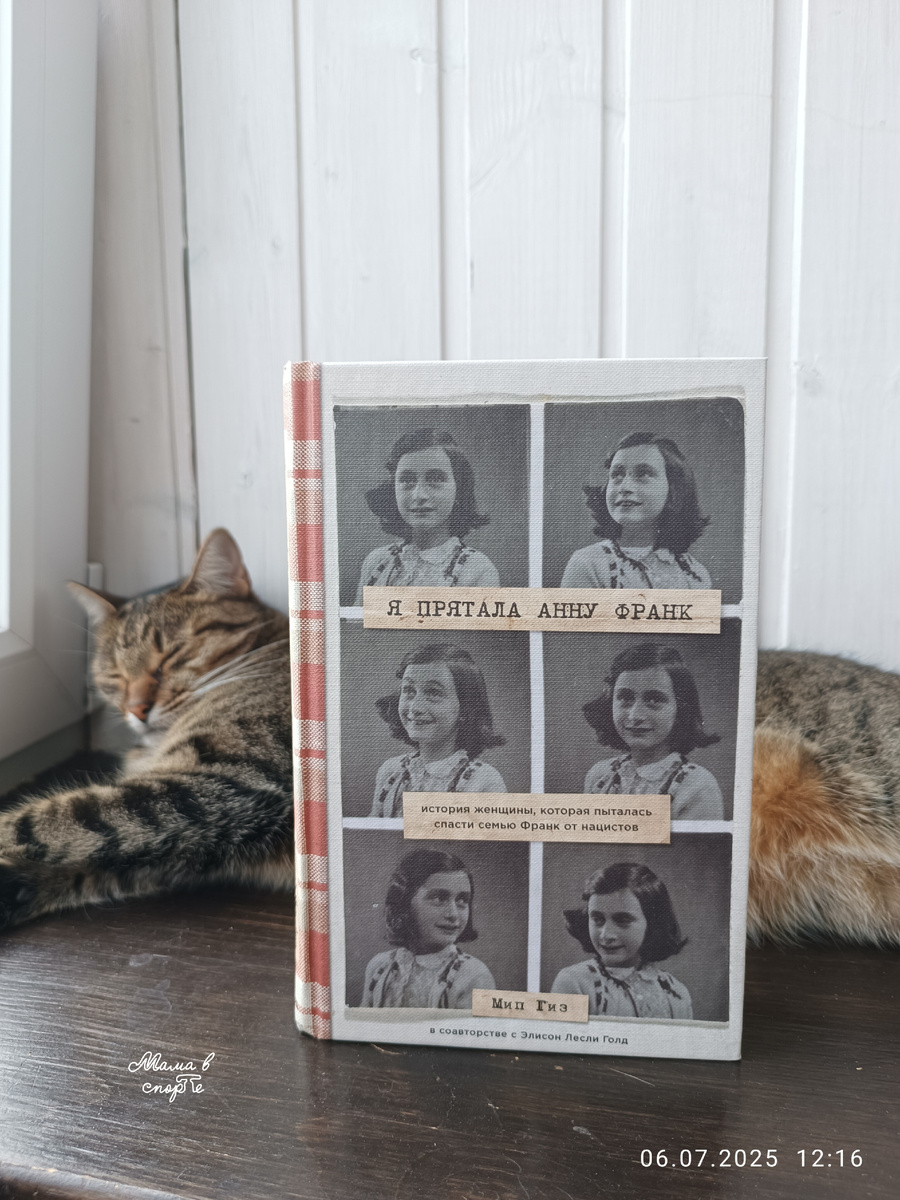 Кошка Вася и книга.