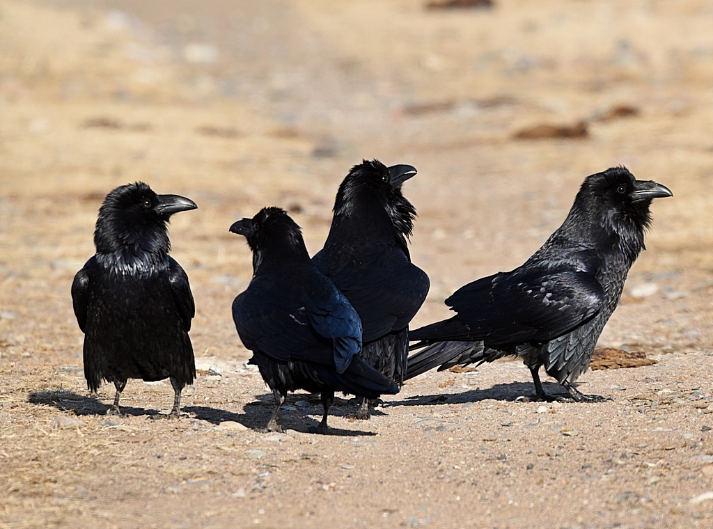 #мужскаядружба #баланс #семьяидрузья #осознанныеотношения #мужчинапослесвадьбы