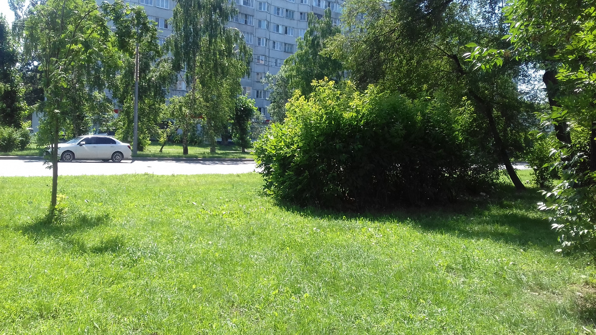 Красноярск сегодня.Фото автора.