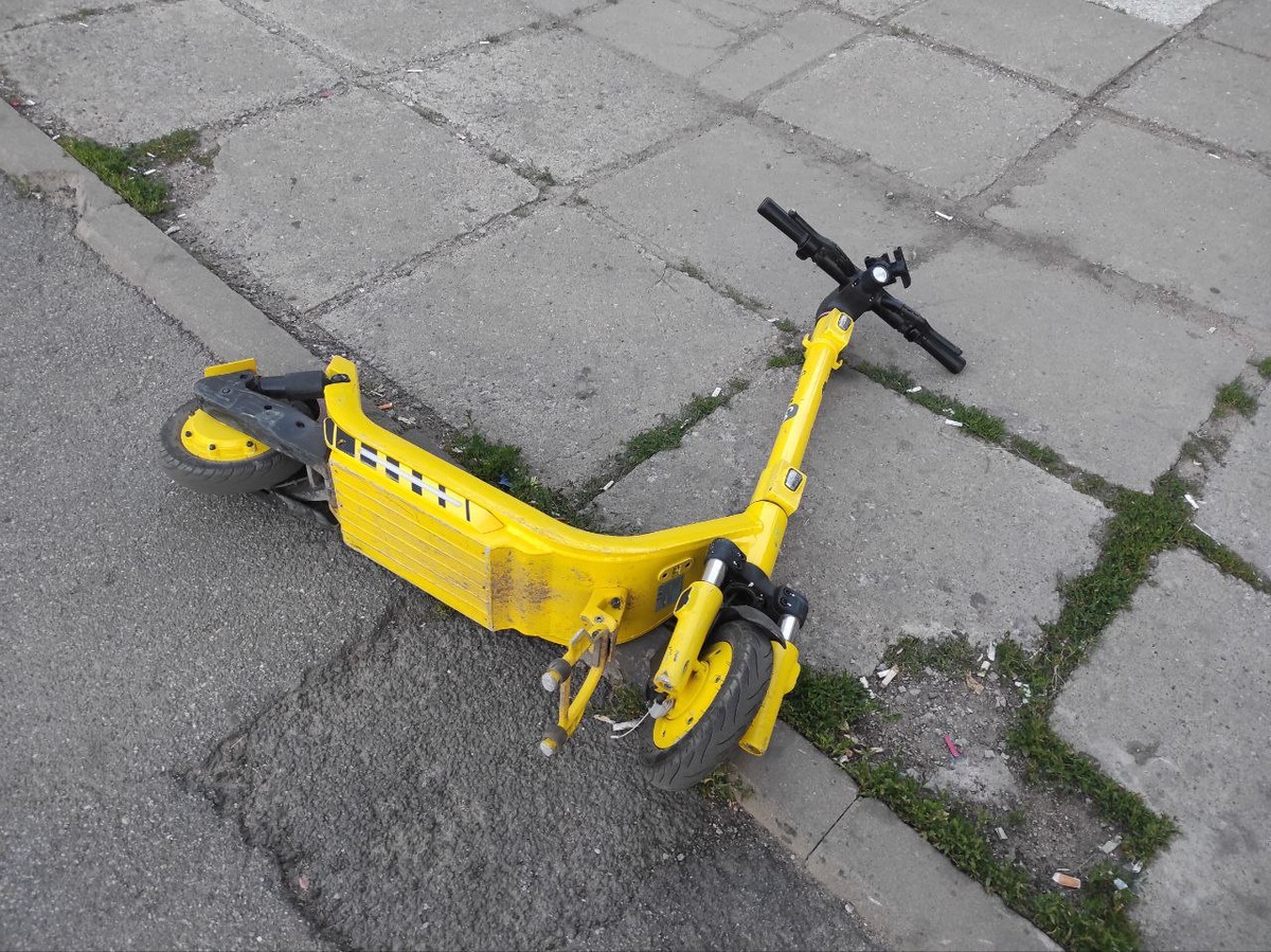 © Форпост Северо-Запад / Алиса Иняхина