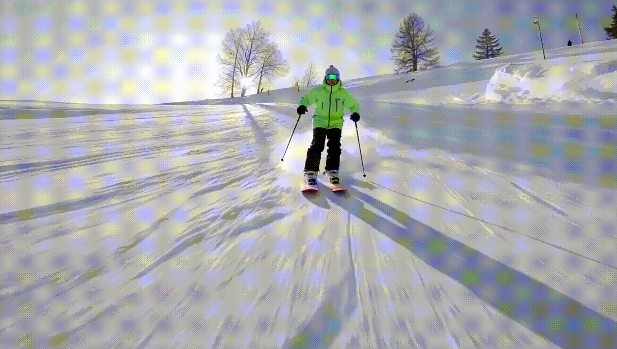 Результат генерации Seedance 1.0