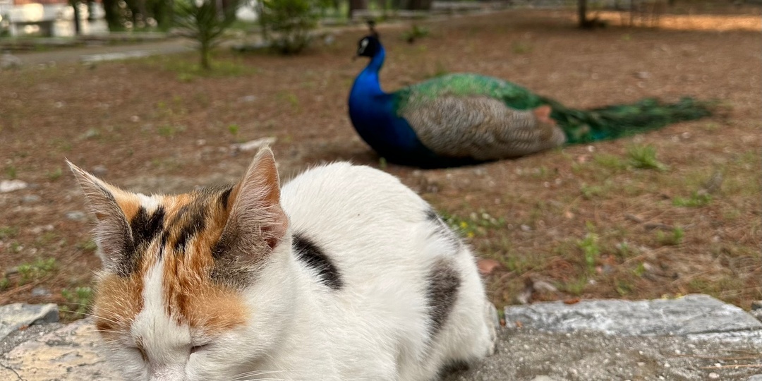"У меня не получается".