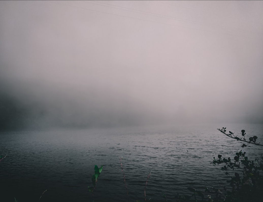 LOON