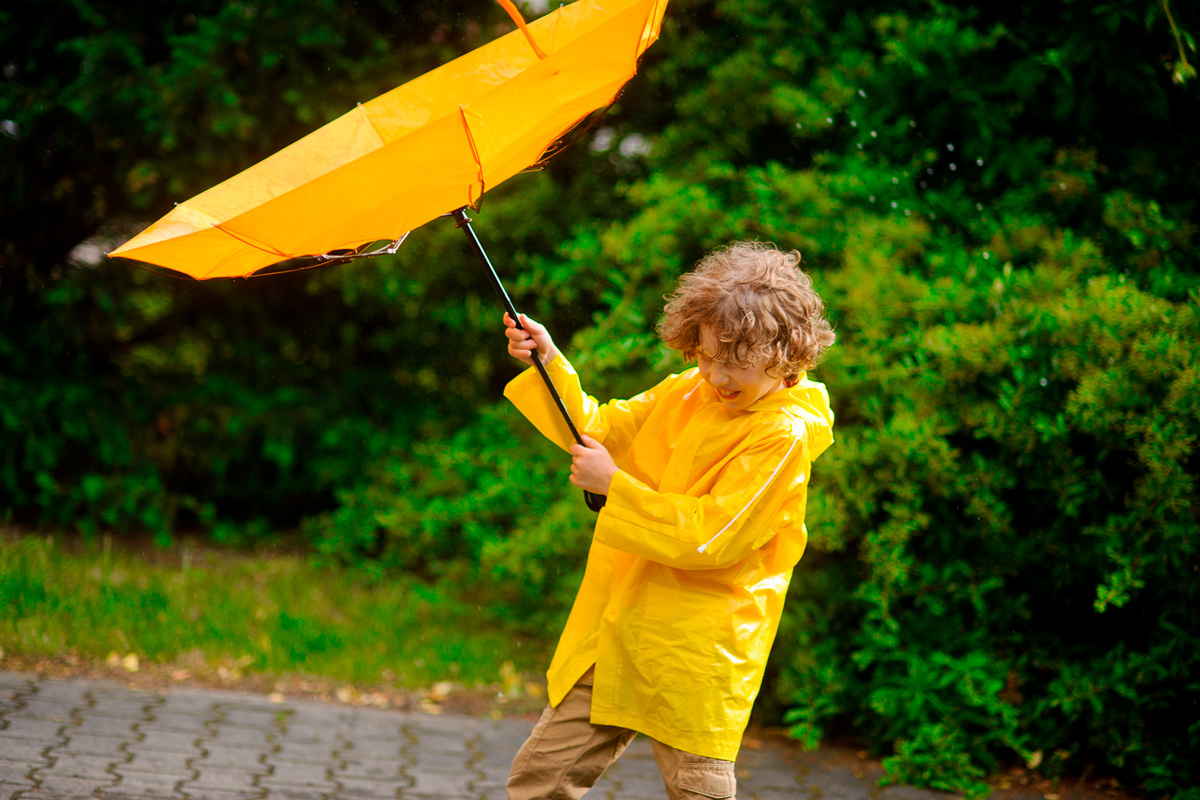    Фото: unguryanu / Shutterstock.com