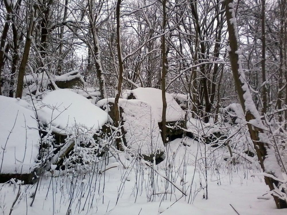Фотоиллюстрация: Современное фото. Калининград. В леске, неподалеку от окружной дороги, на выезде от ул. Аллея Смелых можно увидеть такой вот разрушенный немецкий дот. Точно такое же место было в тот памятный день 9 декабря 1971 года в леске, неподалёку от узкоколейной железной дороги города Пионерский, где наше 2-е отделение 3-го взвода 2-й роты 9-го Флотского экипажа спасло от изнасилования женщину-почтальона.