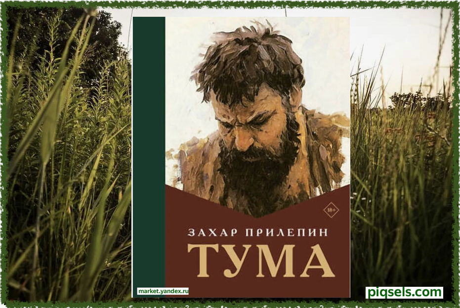 обложка market.yandex.ru