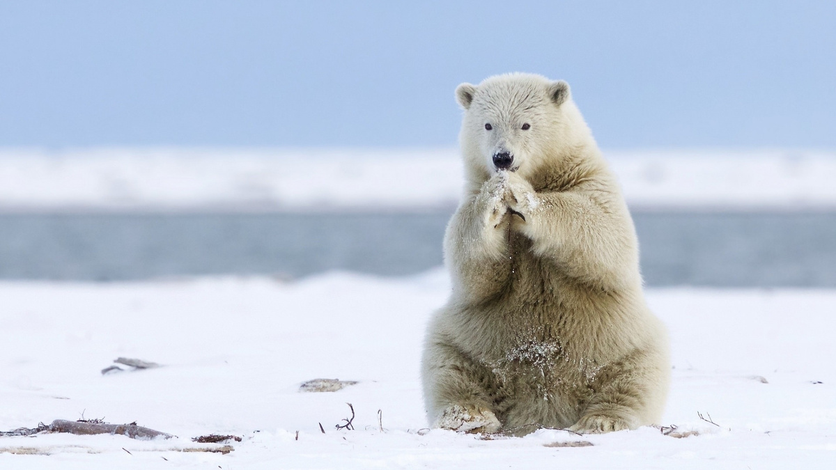 Фото с сайта: https://www.drive2.ru/l/683927569631817468/