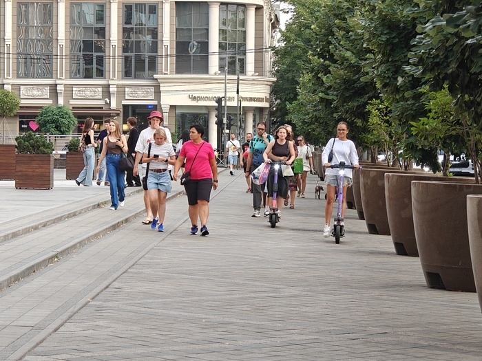    Фото: Юрий Серебренников/BFM Кубань