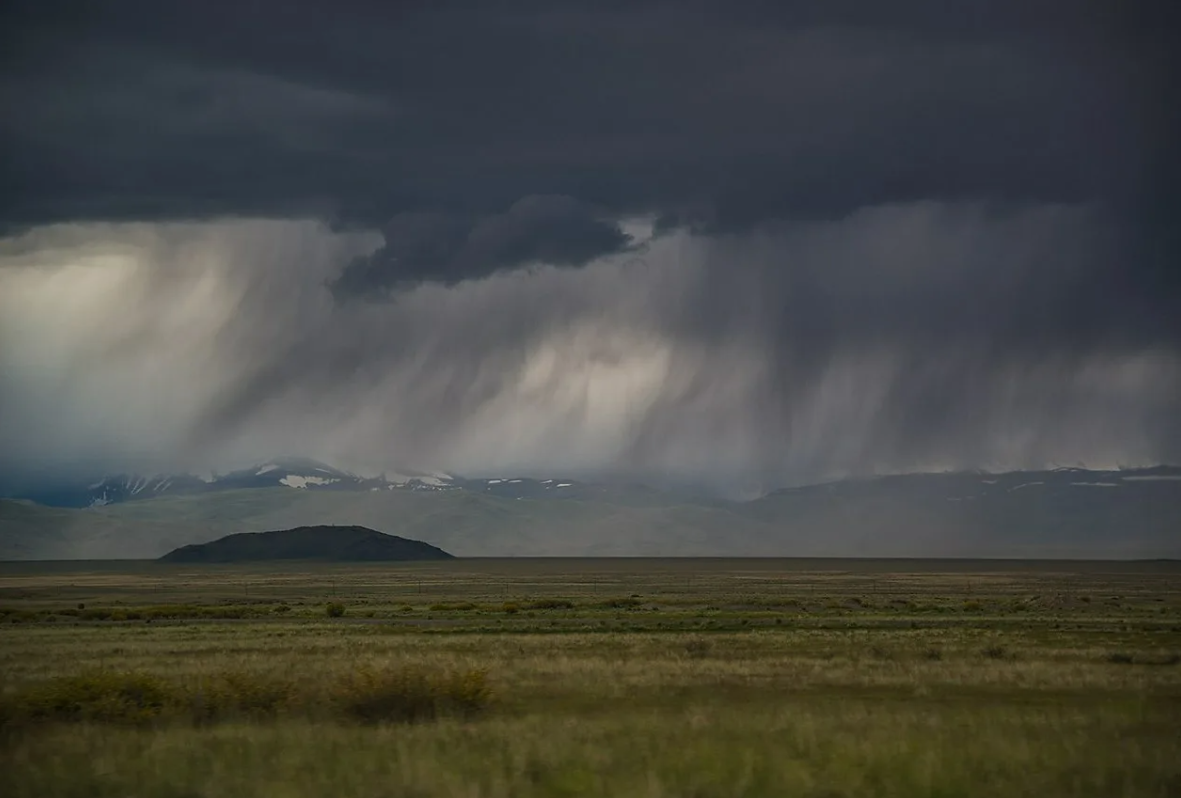 Царь решает, куда идти войску. Но когда пойдет дождь, решать не ему.