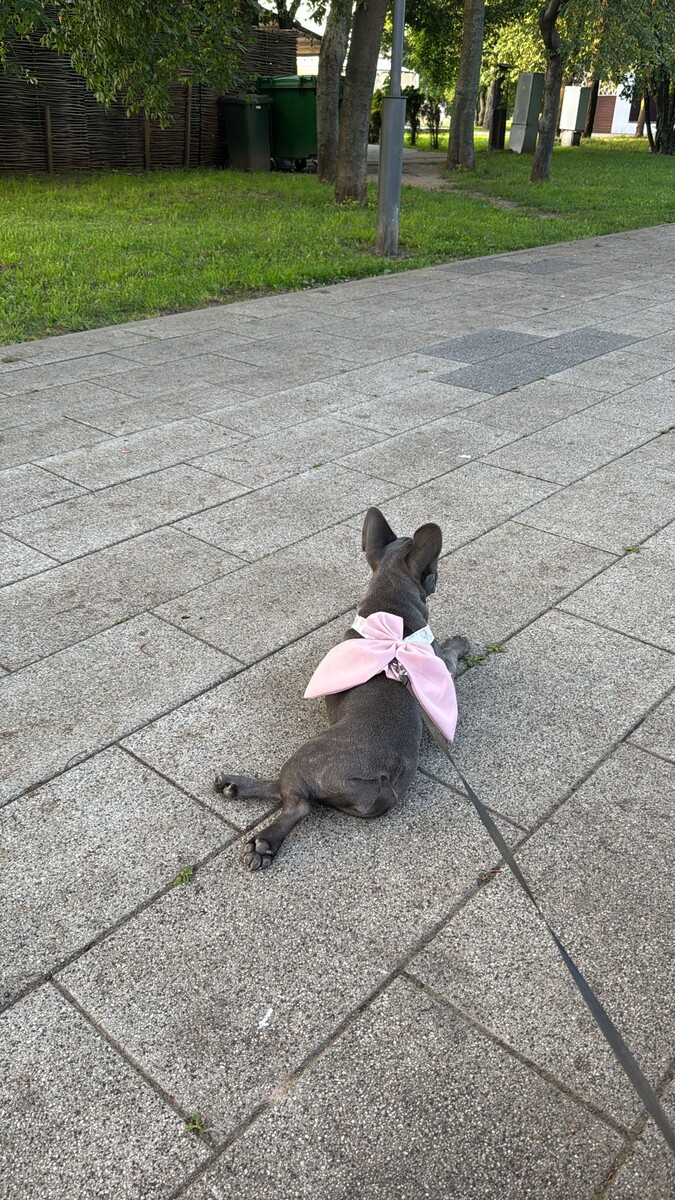 Элли в Москве