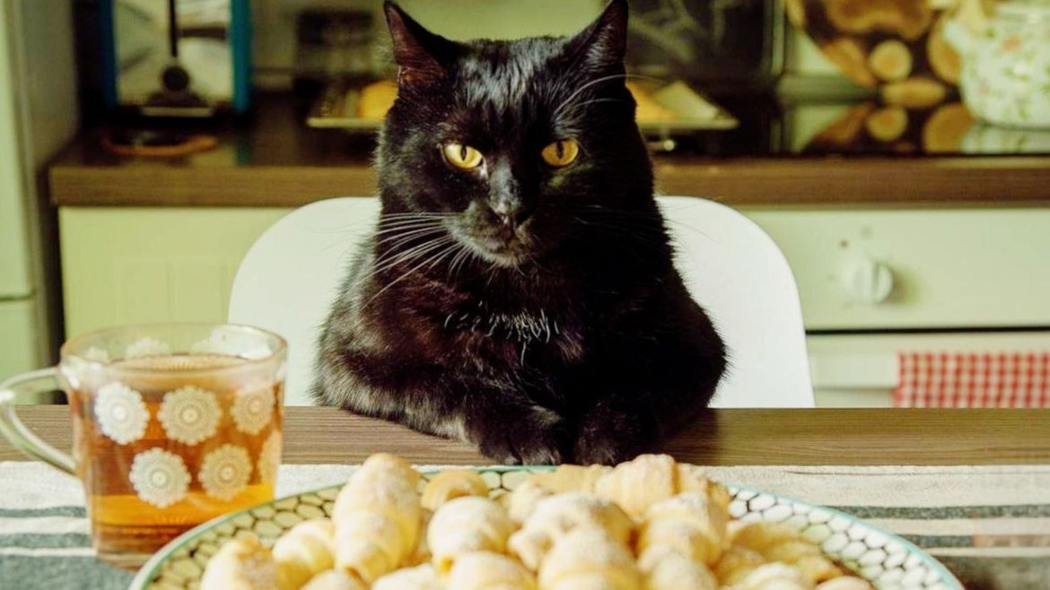 Я весь во внимании!