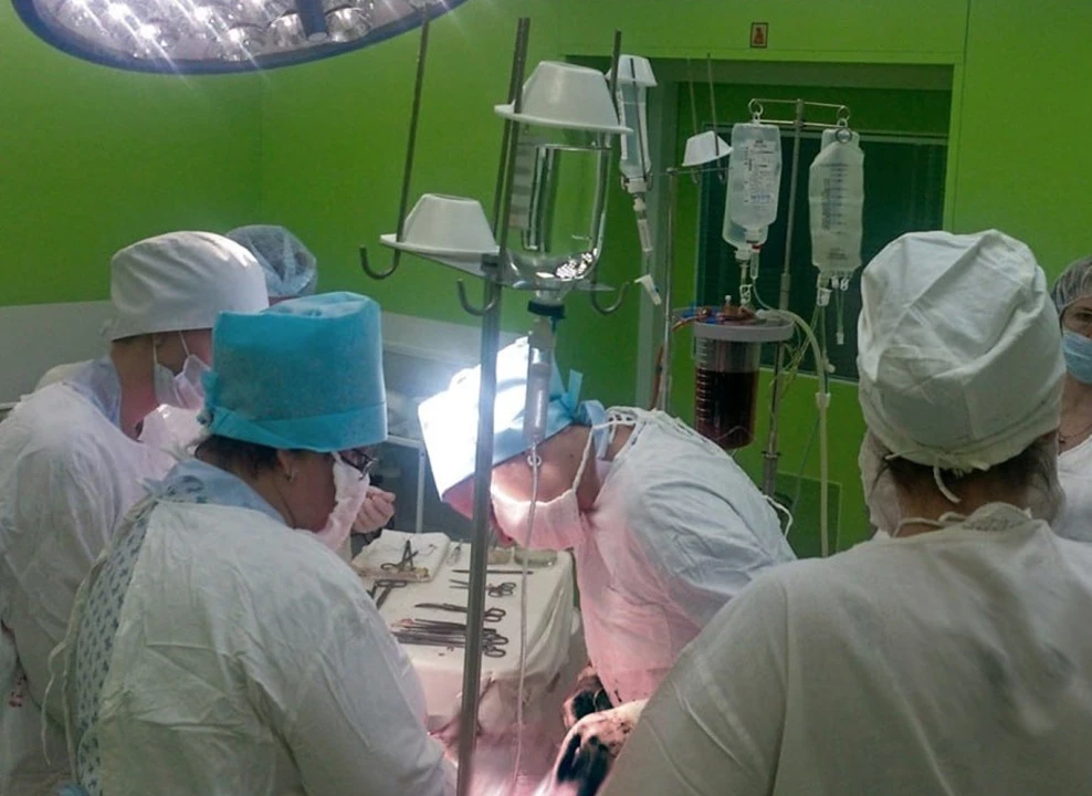 Фото: Минздрав Воронежской области | Telegram