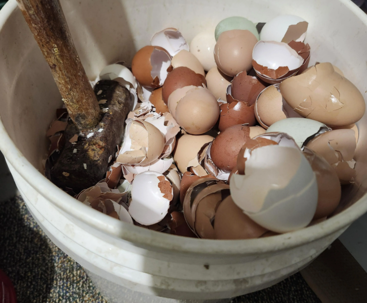 Яичная скорлупа. В ведро влезет не так много, как может показаться