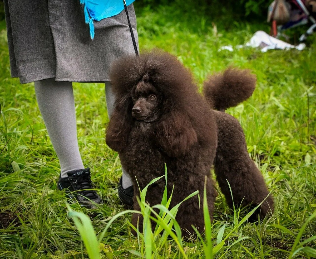 Изображение из интернета