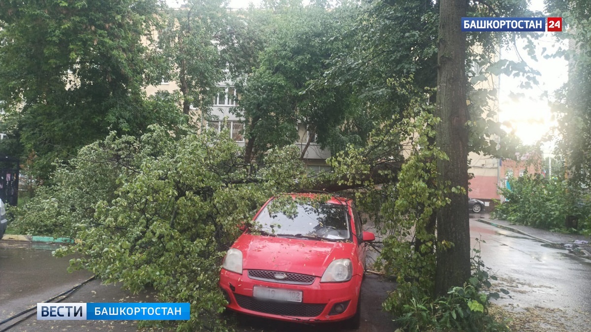    За один день в Уфе выпала почти половина месячной нормы осадков