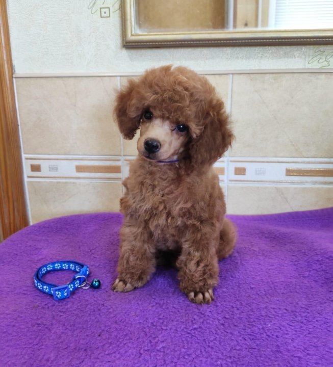 Изображение из интернета