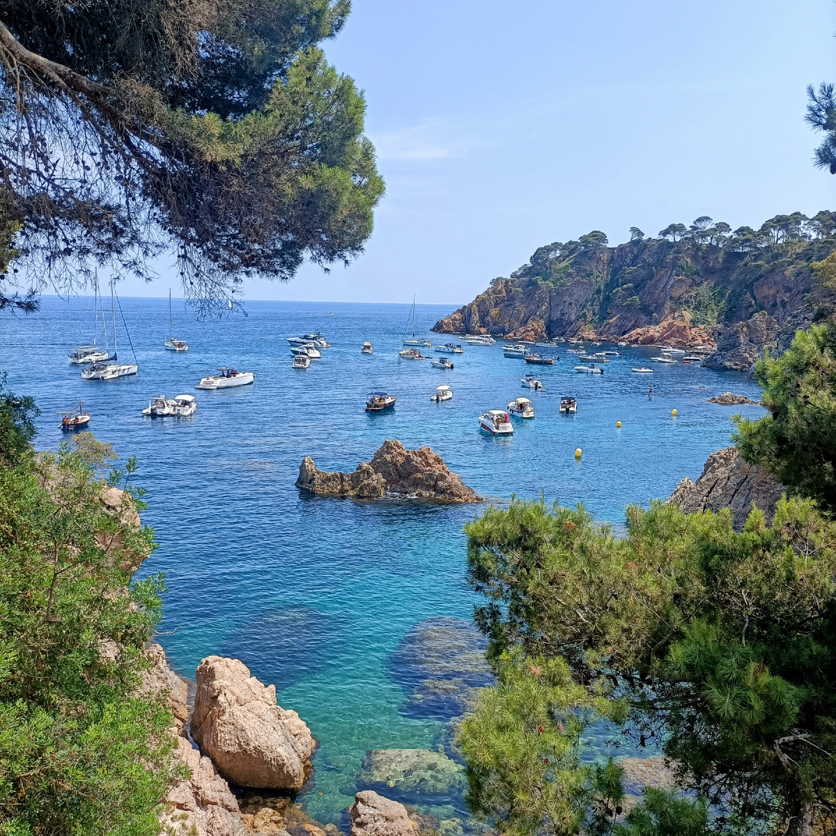 Бухта Golfet.Calella de Palafrugell.Costa Brava. Каталония . Фото автора 