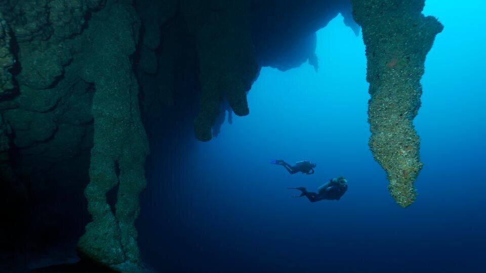 Фото: © www.globallookpress.com/Norbert Probst/imagebroker.com / РЕН ТВ