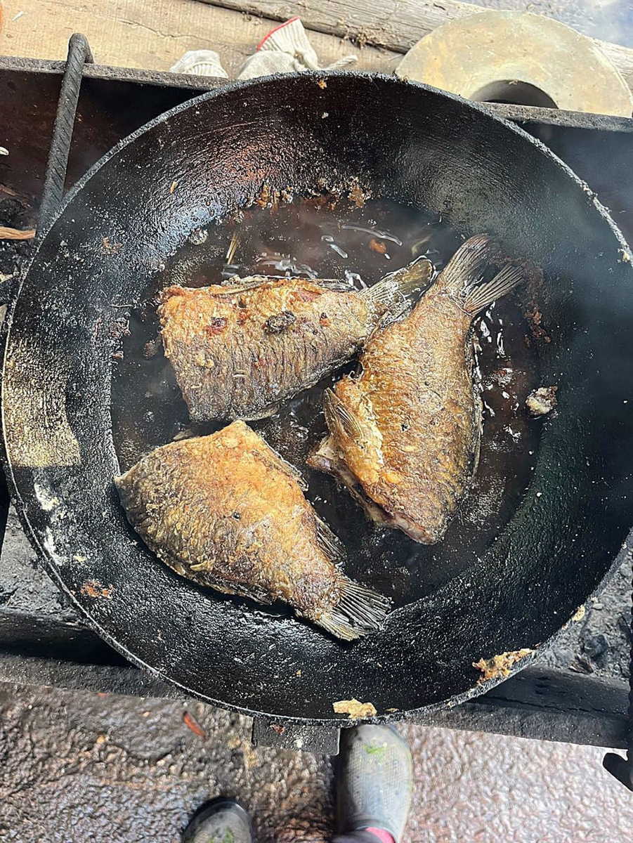 Фото: Вера ШАМАТОВА