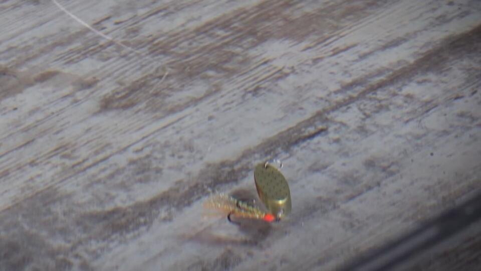 Фото: © Кадр из программы "Знаете ли вы, что?", РЕН ТВ