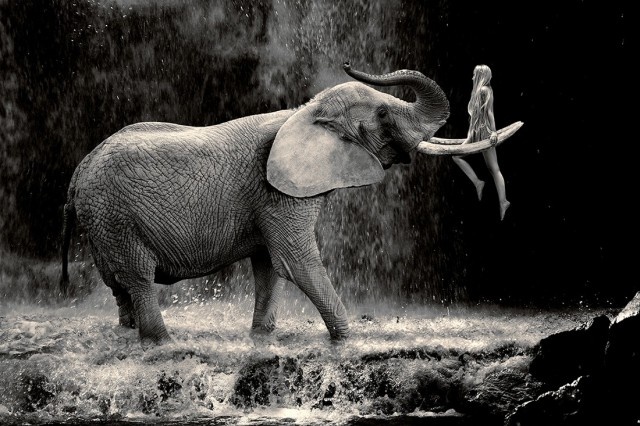 фото Шерайн Коллетт