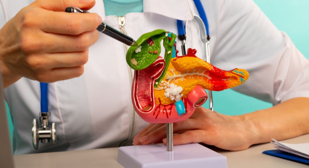 Есть ли связь между изжогой и панкреатитом? Что важно знать о ГЭРБ и воспалении поджелудочной