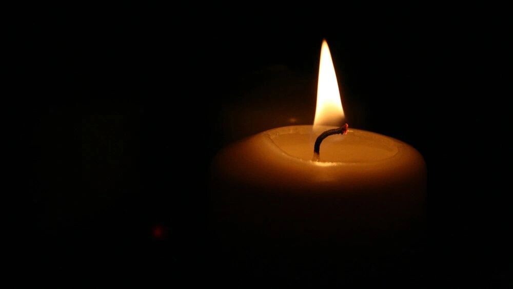    Фото: talyfo/Shutterstock/Fotodom