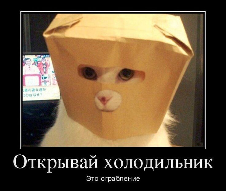 источник Яндекс-картинки