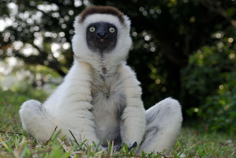 Изображение из интернета