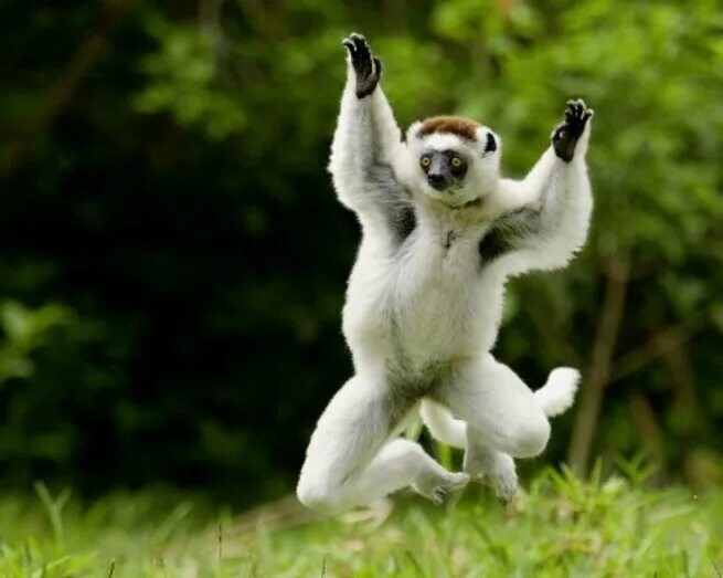 Изображение из интернета