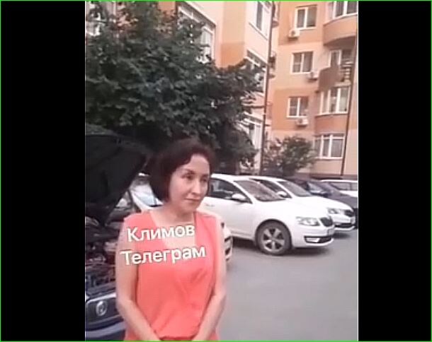 Фото: телеграм-канал "Климов"