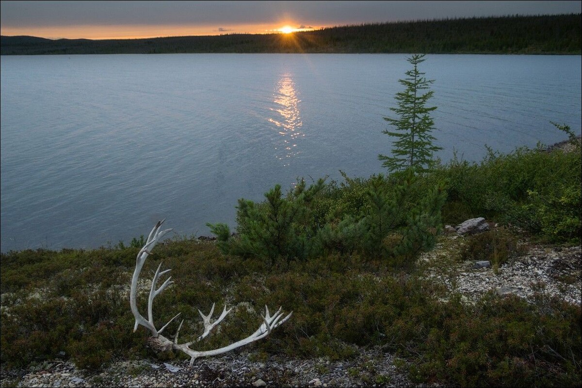 Фото с сайта Penters. ru