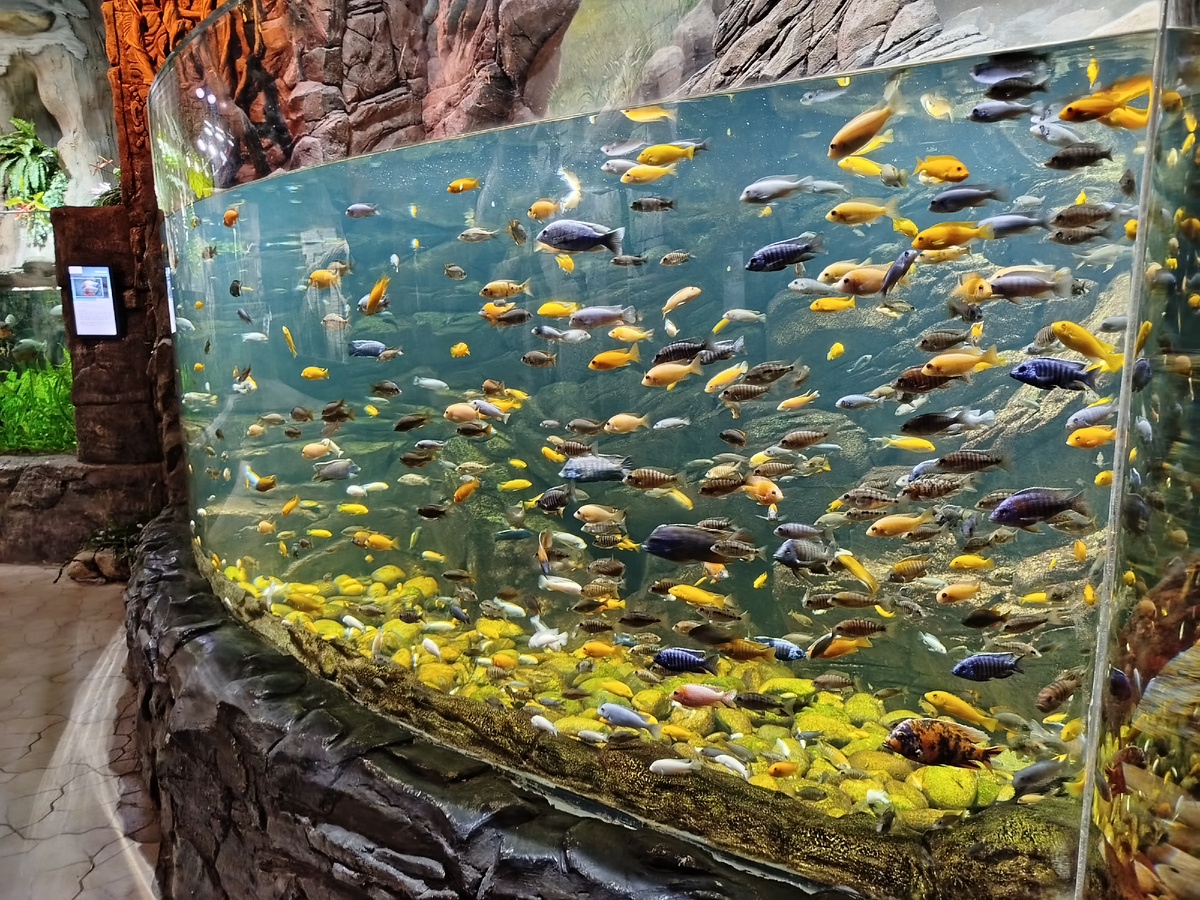 фото из личного архива