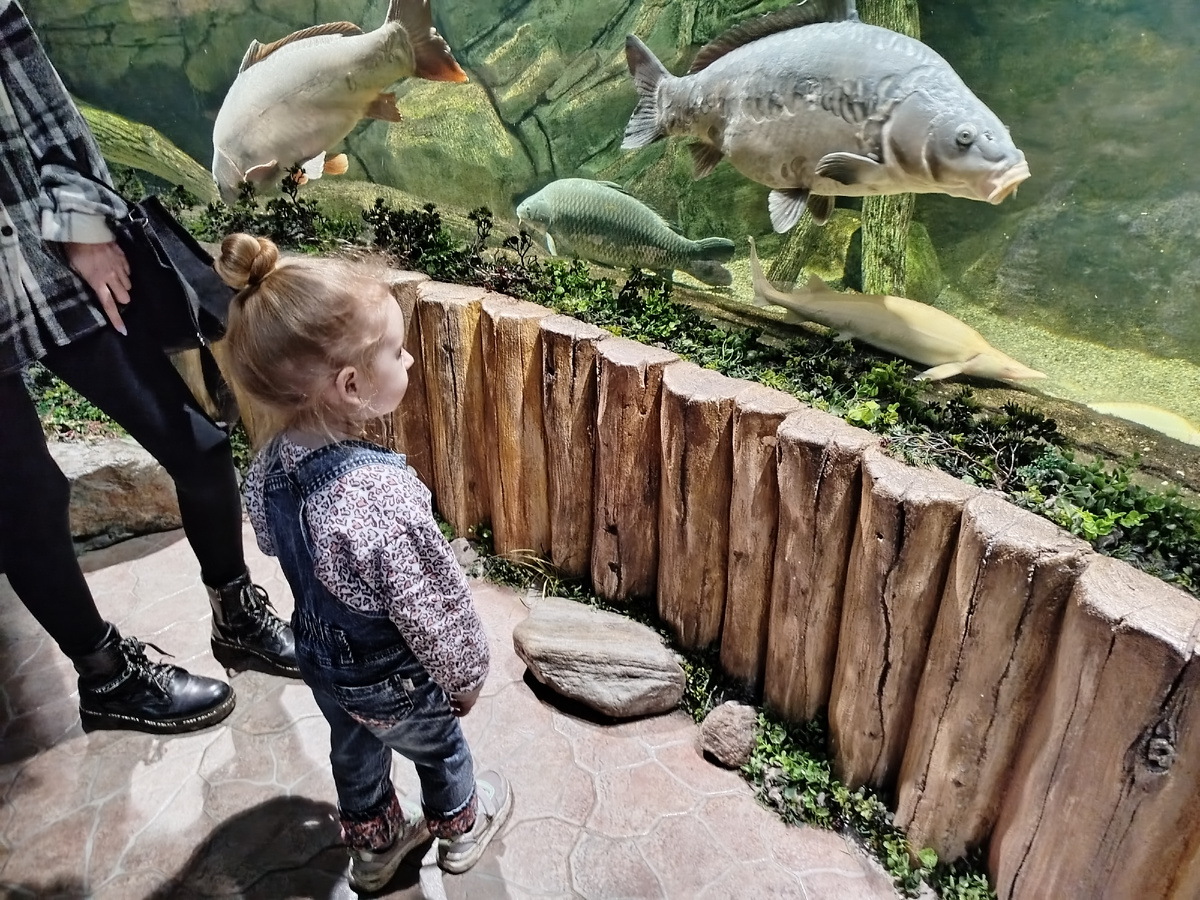 внучке очень понравилось