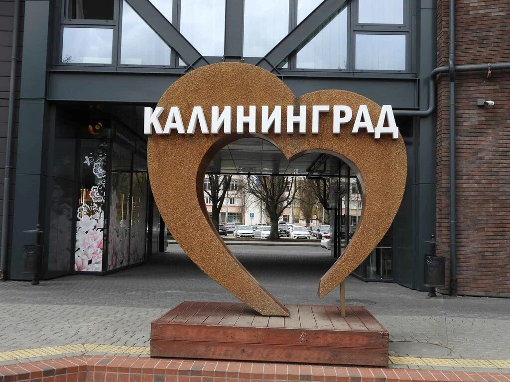 Калининград — город, который не просит любви, но тонко и быстро вызывает привыкание.