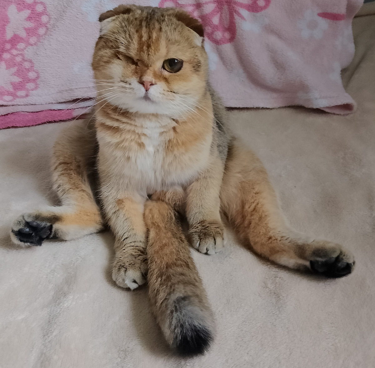 Любимая поза для посидеть