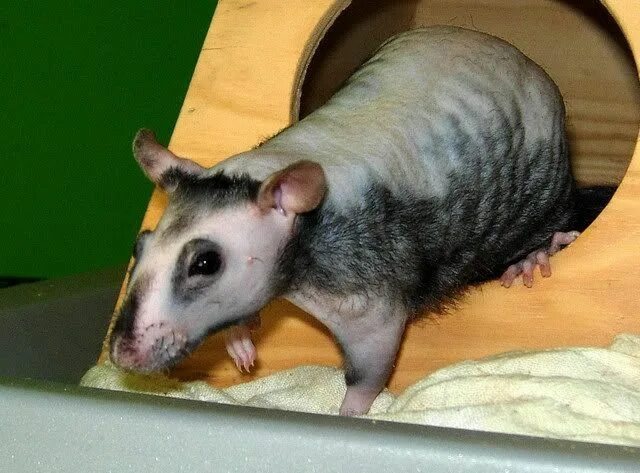 Изображение из интернета