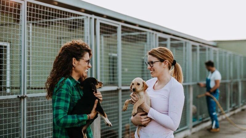    Фото: hedgehog94 / Shutterstock / Fotodom