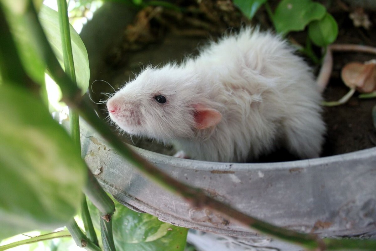 Изображение из интернета