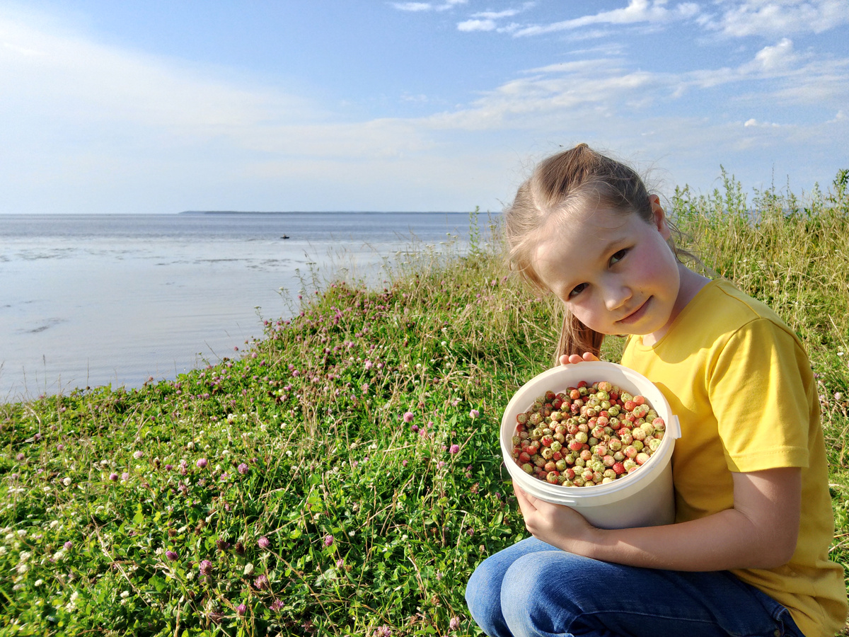 Луговая земляника