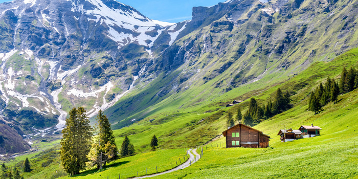 Горные массивы Швейцарии/ Фото: scenic.com.au
