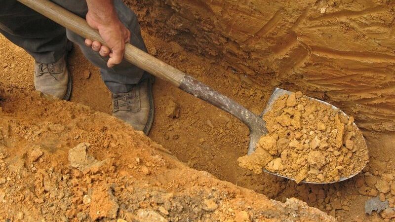    Фото: Christina Richards / Shutterstock / Fotodom